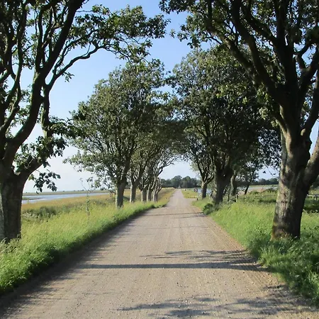 9 Person In Harboore-by Traum